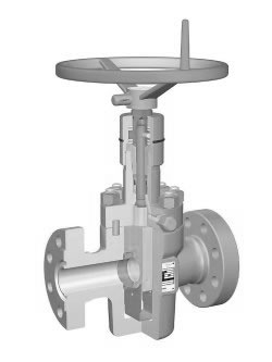 Cameron FLS Gate Valve